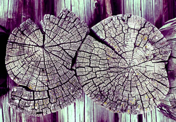 Parlak bir doku ile eski bir ahşap duvar arka plan. Ahşap tahta doku duvar seçili rengi boya ultraviyole ile arka plan. Eski ağaç kesiti