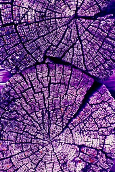 Parlak bir doku ile eski bir ahşap duvar arka plan. Ahşap tahta doku duvar seçili rengi boya ultraviyole ile arka plan. Eski ağaç kesiti