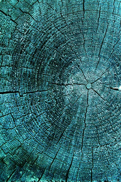 Parlak bir doku ile eski bir ahşap duvar arka plan. Ahşap tahta doku duvar seçili rengi boya ultraviyole ile arka plan. Eski ağaç kesiti