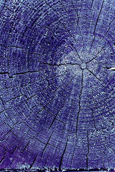 Parlak bir doku ile eski bir ahşap duvar arka plan. Ahşap tahta doku duvar seçili rengi boya ultraviyole ile arka plan. Eski ağaç kesiti