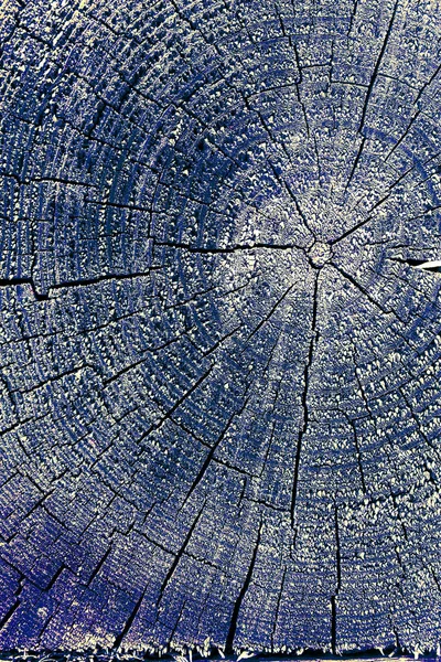 Eski ahşap doku doğal desenleri ile. Eski ağaç kesiti. koyu renkli ahşap dokusu. doğal arka plan. boş şablon