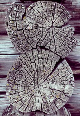 Eski ahşap doku doğal desenleri ile. Eski ağaç kesiti. koyu renkli ahşap dokusu. doğal arka plan. boş şablon