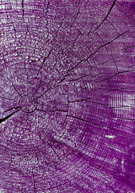 Parlak bir doku ile eski bir ahşap duvar arka plan. Ahşap tahta doku duvar seçili rengi boya ultraviyole ile arka plan. Eski ağaç kesiti