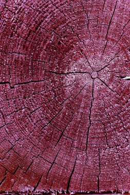 Parlak bir doku ile eski bir ahşap duvar arka plan. Ahşap tahta doku duvar seçili rengi boya ultraviyole ile arka plan. Eski ağaç kesiti