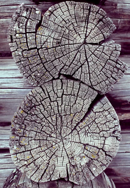 Textura Madeira Velha Com Padrões Naturais Secção Transversal Árvore Velha — Fotografia de Stock