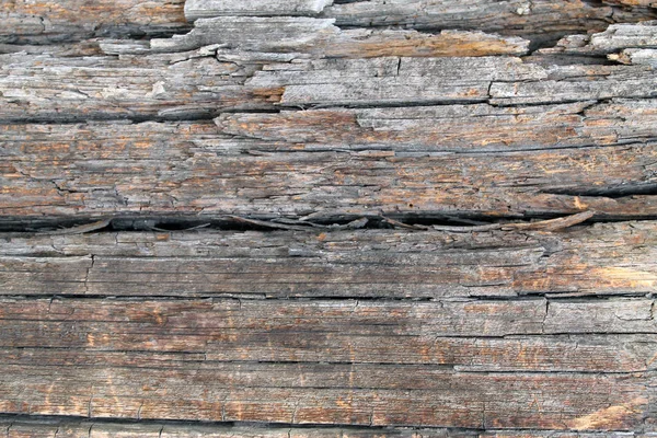 古い木製の自然なパターンを持つテクスチャー 内部ツリーの背景色 古い汚れたと風化灰色の木製壁板テクスチャの背景と要素の屋外に長時間露光でマーク — ストック写真
