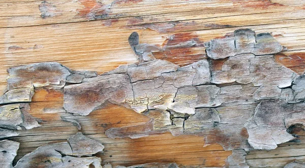 Stary Tekstura Drewna Naturalne Wzorce Wewnątrz Tle Drzewo Stary Grungy — Zdjęcie stockowe