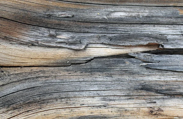 Старая Текстура Дерева Естественными Узорами Внутри Фона Дерева Старый Ворчливый — стоковое фото