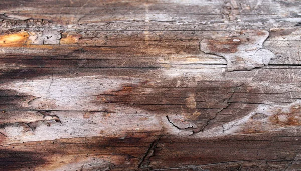 Parlak bir doku ile eski bir ahşap duvar arka plan. ahşap tahta doku duvar seçili rengi boya ultraviyole ile arka plan