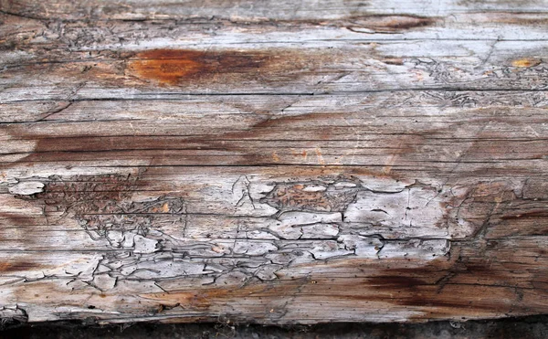 Fondo Abstracto Una Antigua Pared Madera Con Una Textura Brillante — Foto de Stock