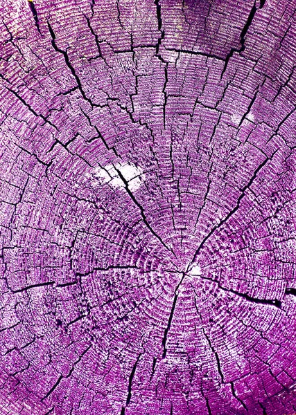 Parlak bir doku ile eski bir ahşap duvar arka plan. Ahşap tahta doku duvar seçili rengi boya ultraviyole ile arka plan. Eski ağaç kesiti