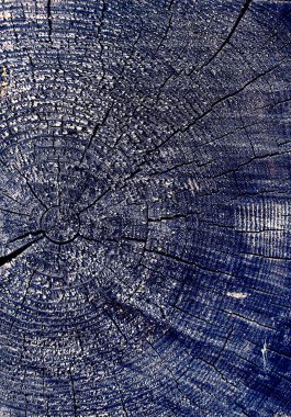 Parlak bir doku ile eski bir ahşap duvar arka plan. Ahşap tahta doku duvar seçili rengi boya ultraviyole ile arka plan. Eski ağaç kesiti