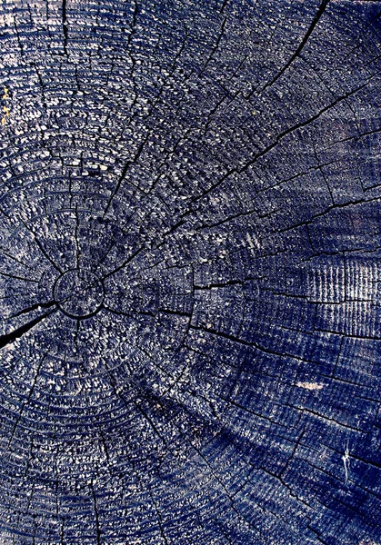 Parlak bir doku ile eski bir ahşap duvar arka plan. Ahşap tahta doku duvar seçili rengi boya ultraviyole ile arka plan. Eski ağaç kesiti