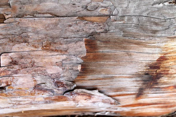 Textura Madeira Velha Com Padrões Naturais Dentro Fundo Árvore Velho — Fotografia de Stock