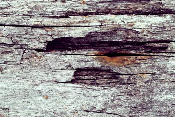 La textura de madera vieja con patrones naturales. Dentro del fondo del árbol. Antiguo grueso y envejecido tablones de pared de madera gris textura de fondo — Foto de Stock
