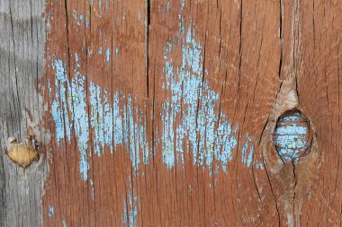 eski mavi kurulu kırık boya, vintage ahşap arka plan, grunge tahta ile. Eski ahşap arka plan ağaç eski boya artıkları parçaları kalıntıları ile. Doku eski ağaç bir kurulu ile boya, antika arka plan boya soyulmuştu. eski mavi kurulu SRA ile