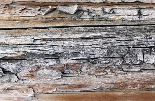Eski ahşap doku doğal desenleri ile. Ağaç arka plan içinde. Eski eski ve yıpranmış gri ahşap duvar plakalar arka plan doku