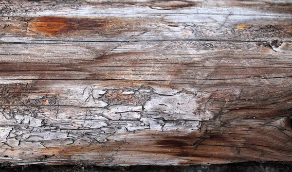 Fából készült deszka textúra fal kijelölt tone színű háttér. Absztrakt háttér egy régi fából készült fal egy fényes textúra. ultraibolya festék — Stock Fotó