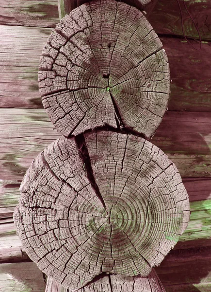 Die Alte Holzstruktur Mit Natürlichen Mustern Querschnitt Durch Den Alten — Stockfoto