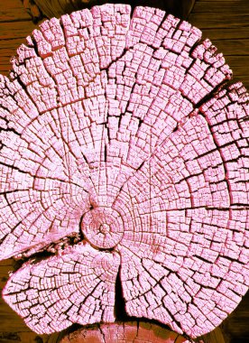 Parlak bir doku ile eski bir ahşap duvar arka plan. Ahşap tahta doku duvar seçili rengi boya suluboya pastel ile arka plan. Eski ağaç kesiti