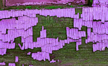 eski mavi kurulu kırık boya, vintage ahşap arka plan, grunge tahta ile. Eski ahşap ultraviyole ile arka plan ağaç eski boya artıkları parçaları kalıntıları. Doku eski ağaç bir kurulu ile boya, antika arka plan boya soyulmuştu. Eski mor 