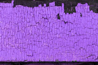 eski mavi kurulu kırık boya, vintage ahşap arka plan, grunge tahta ile. Eski ahşap ultraviyole ile arka plan ağaç eski boya artıkları parçaları kalıntıları. Doku eski ağaç bir kurulu ile boya, antika arka plan boya soyulmuştu. Eski mor 