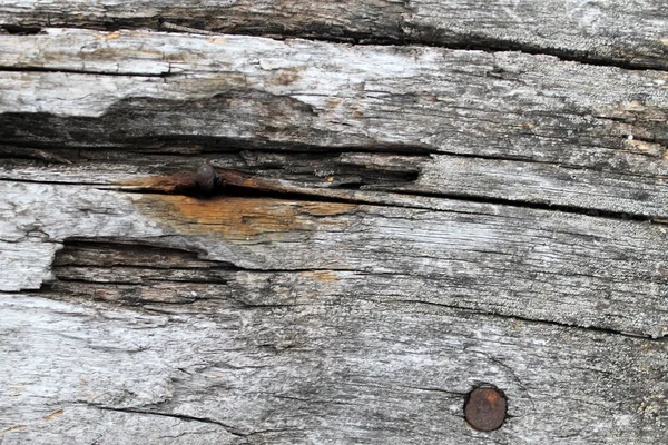 Textura Madeira Velha Com Padrões Naturais Dentro Fundo Árvore Velho — Fotografia de Stock