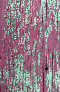 eski mavi kurulu kırık boya, vintage ahşap arka plan, grunge tahta ile. Eski ahşap arka plan ağaç eski boya artıkları parçaları kalıntıları ile. Doku eski ağaç bir kurulu ile boya, antika arka plan boya soyulmuştu. eski mavi kurulu SRA ile