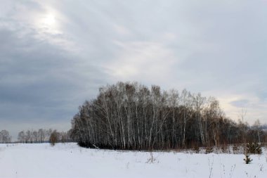 Kış manzarası - soğuk karlı orman ağaçlarında. Harika kış orman yolda. Gün batımında güzel kış manzarası.