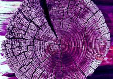 Parlak bir doku ile eski bir ahşap duvar arka plan. Ahşap tahta doku duvar seçili rengi boya ultraviyole ile arka plan. Eski ağaç kesiti