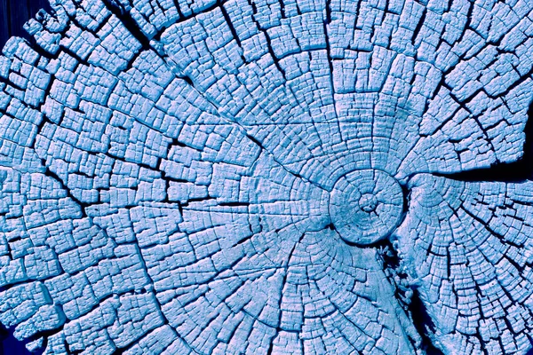 Fondo Abstracto Una Antigua Pared Madera Con Una Textura Brillante —  Fotos de Stock