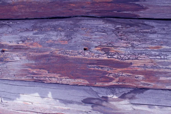 Bakgrund av planka textur väggen med valda ton färg. Abstrakt bakgrund av en gamla trävägg med ljusa konsistens. måla ultraviolett — Stockfoto