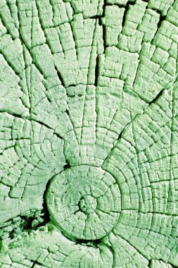 Eski ahşap doku doğal desenleri ile. Eski ağaç kesiti. Parlak bir doku ile eski bir ahşap duvar arka plan. suluboya pastel boya