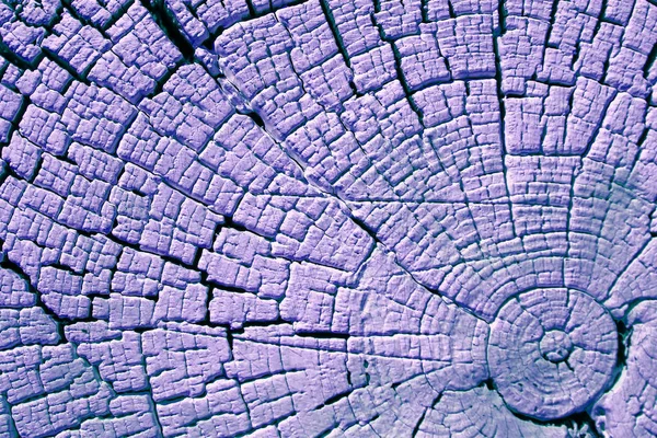 Eski ahşap doku doğal desenleri ile. Eski ağaç kesiti. Parlak bir doku ile eski bir ahşap duvar arka plan. suluboya pastel boya