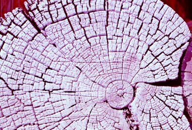 Eski ahşap doku doğal desenleri ile. Eski ağaç kesiti. koyu renkli ahşap dokusu. Doğal arka plan. boş şablon. Parlak bir doku ile eski bir ahşap duvar arka plan. suluboya pastel boya