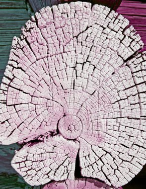 Eski ahşap doku doğal desenleri ile. Eski ağaç kesiti. koyu renkli ahşap dokusu. Doğal arka plan. boş şablon. Parlak bir doku ile eski bir ahşap duvar arka plan. suluboya pastel boya