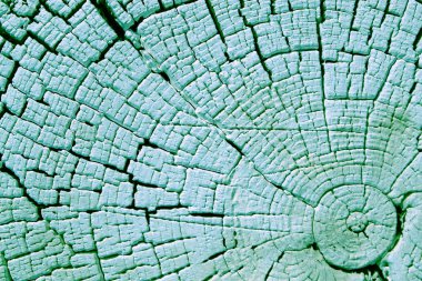 Eski ahşap doku doğal desenleri ile. Eski ağaç kesiti. koyu renkli ahşap dokusu. Doğal arka plan. boş şablon. Parlak bir doku ile eski bir ahşap duvar arka plan. suluboya pastel boya