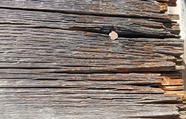 The old wood texture with natural patterns. Inside the tree background. Old grungy and weathered grey wooden wall planks texture background — Stock Photo, Image