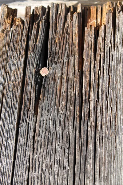 Το παλιό ξύλο υφή με φυσικά μοτίβα. Μέσα στο δέντρο φόντο. Παλιά grungy και ξεπερασμένο γκρίζο ΞΥΛΙΝΟΣ σανίδες υφή φόντου — Φωτογραφία Αρχείου