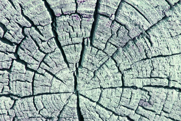 La textura de madera vieja con patrones naturales. Corte transversal del viejo árbol. Fondo abstracto de una antigua pared de madera con una textura brillante. pintura acuarela pastel — Foto de Stock
