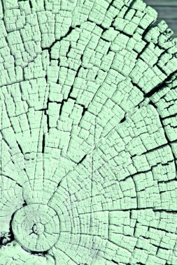 Eski ahşap doku doğal desenleri ile. Eski ağaç kesiti. Parlak bir doku ile eski bir ahşap duvar arka plan. suluboya pastel boya