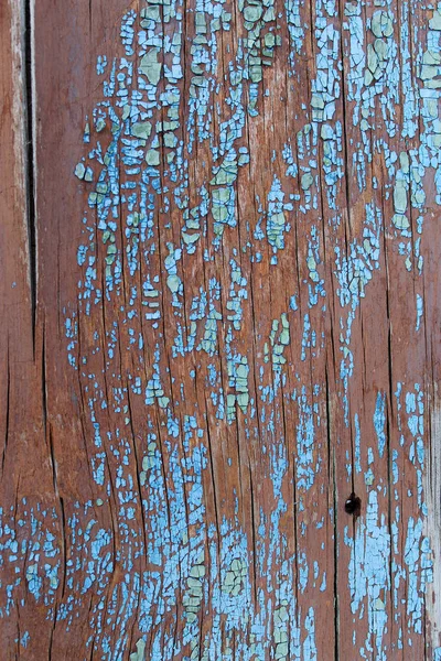 old blue board with cracked paint, vintage wood background, grunge plank. Old wooden background with remains of pieces of scraps of old paint on wood. Texture of an old tree, board with paint, vintage background peeling paint. old blue board with cra