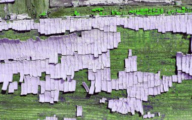 eski mavi kurulu kırık boya, vintage ahşap arka plan, grunge tahta ile. Eski ahşap arka plan ağaç eski boya artıkları parçaları kalıntıları ile. Doku eski ağaç bir kurulu ile boya, antika arka plan boya soyulmuştu. eski mavi kurulu SRA ile