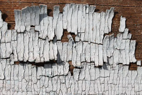 Kabuğu soyulmuş eski ahşap doku çatlak boyalı eski mavi tahta, eski ahşap arka plan, grunge kalas. Ahşap üzerinde eski boya kalıntıları olan eski ahşap bir arka plan. Eski bir ağacın dokusu, boyalı bir tahta, eski bir arkaplan.