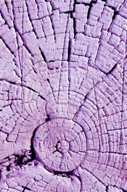 Eski ahşap doku doğal desenleri ile. Eski ağaç kesiti. koyu renkli ahşap dokusu. Doğal arka plan. boş şablon. Parlak bir doku ile eski bir ahşap duvar arka plan. suluboya pastel boya