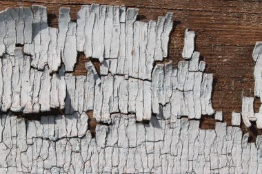 Kabuğu soyulmuş eski ahşap doku çatlak boyalı eski mavi tahta, eski ahşap arka plan, grunge kalas. Ahşap üzerinde eski boya kalıntıları olan eski ahşap bir arka plan. Eski bir ağacın dokusu, boyalı bir tahta, eski bir arkaplan.