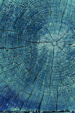 Parlak bir doku ile eski bir ahşap duvar arka plan. Ahşap tahta doku duvar seçili rengi boya ultraviyole ile arka plan. Eski ağaç kesiti