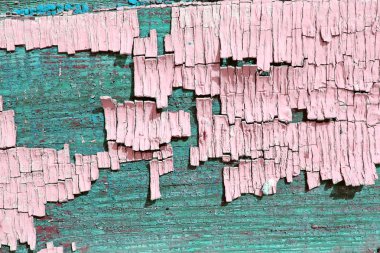 eski mavi kurulu kırık boya, vintage ahşap arka plan, grunge tahta ile. Eski ahşap arka plan ağaç eski boya artıkları parçaları kalıntıları ile. Doku eski ağaç bir kurulu ile boya, antika arka plan boya soyulmuştu. eski mavi kurulu SRA ile