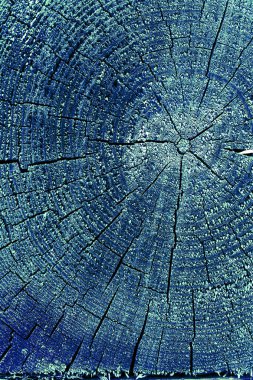 Parlak bir doku ile eski bir ahşap duvar arka plan. Ahşap tahta doku duvar seçili rengi boya ultraviyole ile arka plan. Eski ağaç kesiti