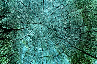 Parlak bir doku ile eski bir ahşap duvar arka plan. ahşap tahta doku duvar seçili rengi boya ultraviyole ile arka plan